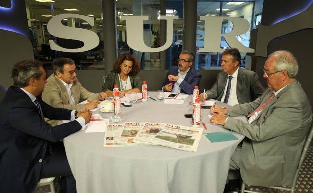 La energía renovable, a debate en una mesa técnica organizada por diario Sur